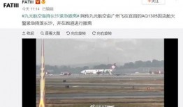 飞机最新爆料视频