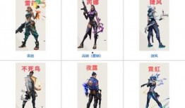 瓦罗兰特最新角色爆料,神秘力量引发热议