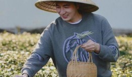 林生斌最新爆料小视频,事件背后惊人真相