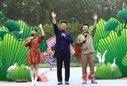 爆料南宁楼市最新消息视频,揭秘视频爆料背后的真相