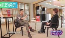 胡军妈妈爆料视频大全最新,揭秘明星家庭背后的温馨故事