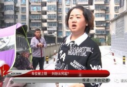 莆田王小姐最新爆料,揭秘事件背后惊人真相
