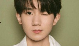 王源黑粉最新爆料事件视频,真相与谣言的较量