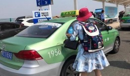 珠海出租车爆料案件最新,真相大白，涉案细节全解析