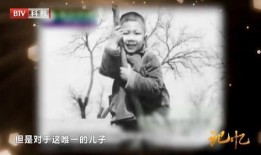 胡军妈妈爆料视频大全最新,揭秘明星家庭背后的温馨故事