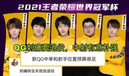qg最新爆料,揭秘战队内部风云与未来战略布局