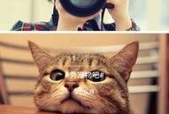 最新电源爆料视频下载,性能与创新的完美融合