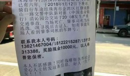 珠海爆料哥最新消息,揭秘珠海重大事件背后真相！