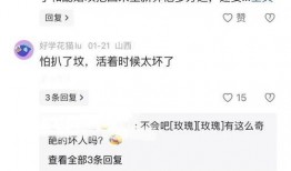 山西网络爆料事件最新,揭开背后真相与争议