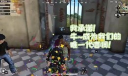 刺激现场最新爆料,揭秘幕后真相与精彩瞬间